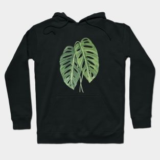 Monstera Leaves 3 Hoodie